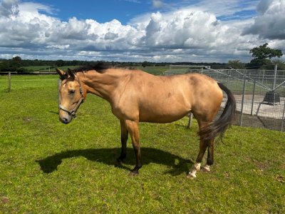 IMG_0051.jpeg IMG_0051.jpeg