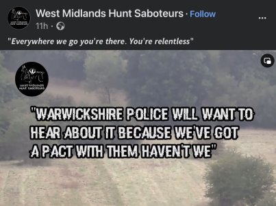 IMG_1481.jpeg IMG_1481.jpeg