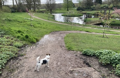 IMG_1493.jpeg IMG_1493.jpeg