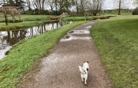 IMG_1494.jpeg IMG_1494.jpeg