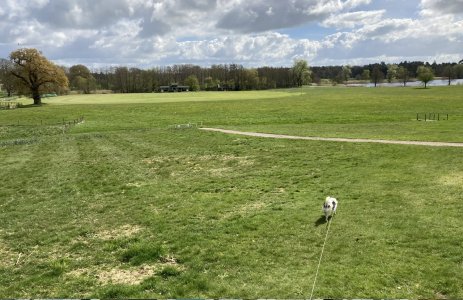 IMG_1491.jpeg IMG_1491.jpeg