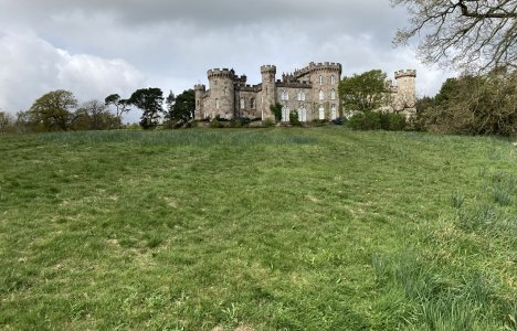 IMG_1492.jpeg IMG_1492.jpeg