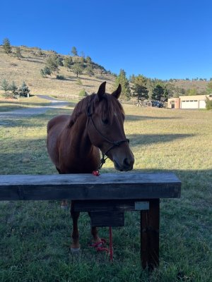 IMG_2914.jpeg IMG_2914.jpeg