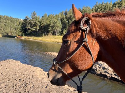 IMG_2923.jpeg IMG_2923.jpeg