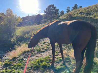 IMG_2922.jpeg IMG_2922.jpeg