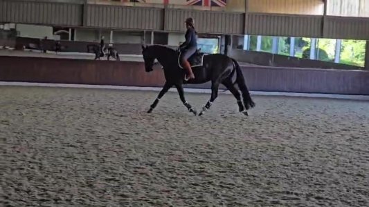 cookie carl trot sept.jpg