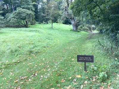 IMG_5029.jpeg IMG_5029.jpeg