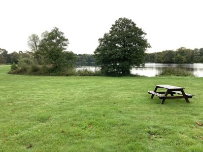 IMG_5030.jpeg IMG_5030.jpeg