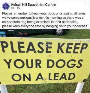 IMG_1499.jpeg IMG_1499.jpeg