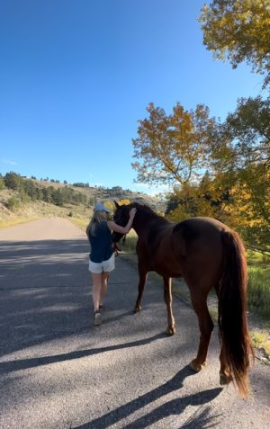 IMG_2980.jpeg IMG_2980.jpeg