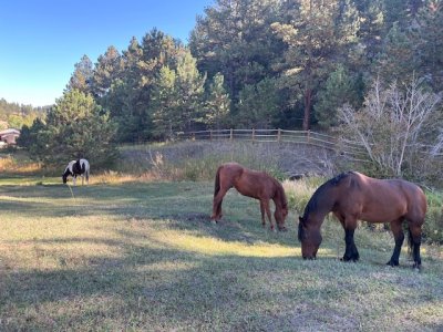 IMG_2983.jpeg IMG_2983.jpeg