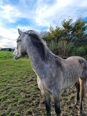 1000070240.jpeg 1000070240.jpeg