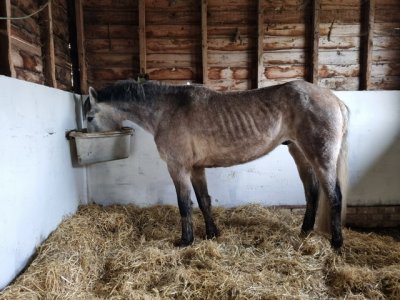 1000070556.jpeg 1000070556.jpeg