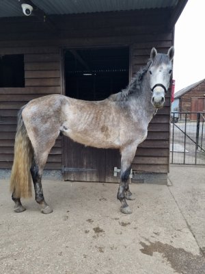 1000071160.jpeg 1000071160.jpeg