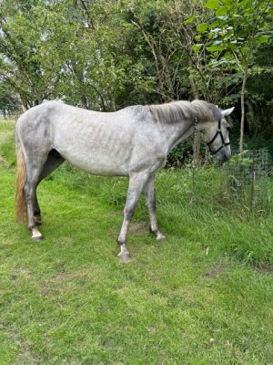 IMG_4125.jpeg IMG_4125.jpeg