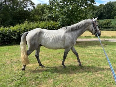 IMG_5062.jpeg IMG_5062.jpeg