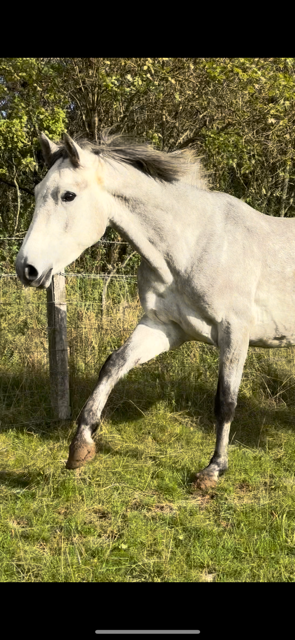 IMG_6527.png IMG_6527.png