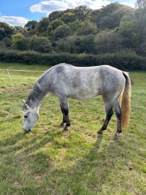 IMG_6466.jpeg IMG_6466.jpeg