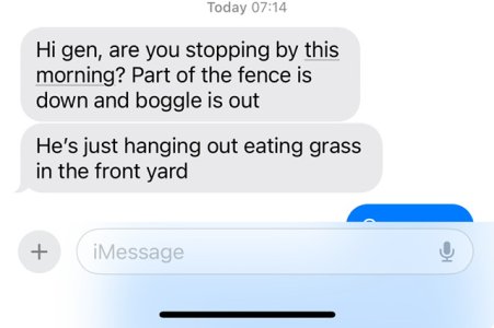 IMG_3022.jpeg IMG_3022.jpeg