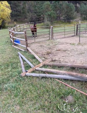 IMG_3025.jpeg IMG_3025.jpeg