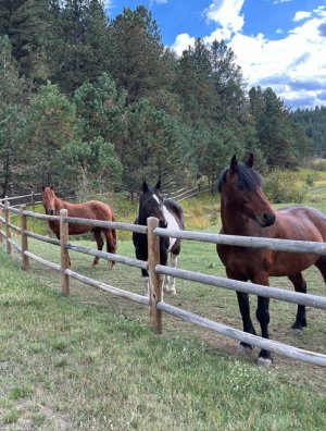 IMG_3036.jpeg IMG_3036.jpeg