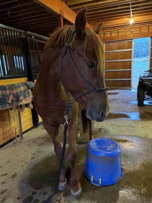 IMG_3046.jpeg IMG_3046.jpeg