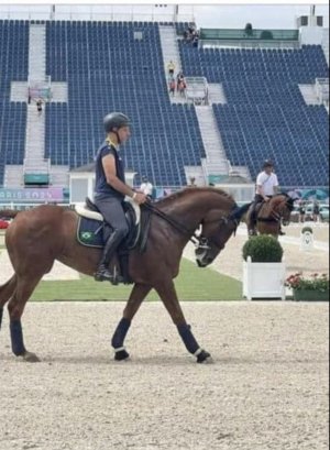 IMG_1511.jpeg IMG_1511.jpeg