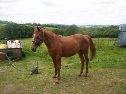 IMG_1278.jpeg IMG_1278.jpeg