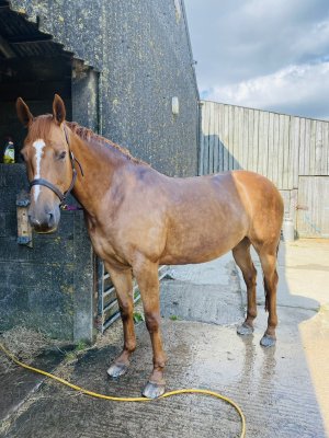 IMG_6495.jpeg IMG_6495.jpeg