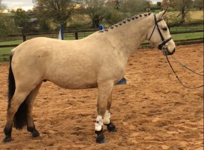 solace2.jpg solace2.jpg