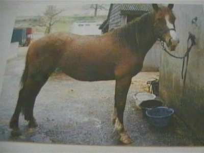 FB_IMG_1727957448396.jpg FB_IMG_1727957448396.jpg