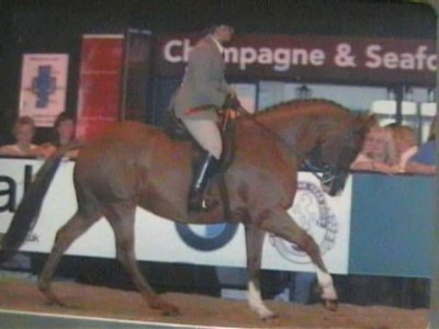 FB_IMG_1727957470190.jpg FB_IMG_1727957470190.jpg