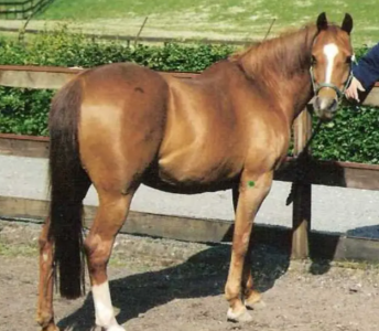 Screenshot_20241003-145031-037.png Screenshot_20241003-145031-037.png