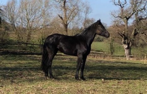 IMG_2390.jpeg IMG_2390.jpeg