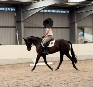 IMG_2389.jpeg IMG_2389.jpeg