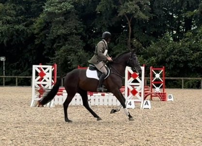 IMG_2153.jpeg IMG_2153.jpeg