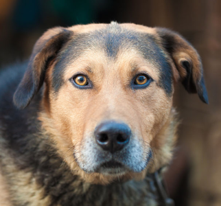 1728125049308.png 1728125049308.png