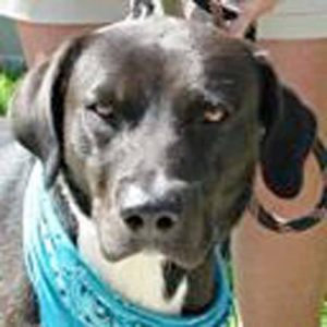 1728125366678.png 1728125366678.png