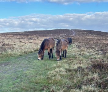 IMG_0227.jpeg IMG_0227.jpeg