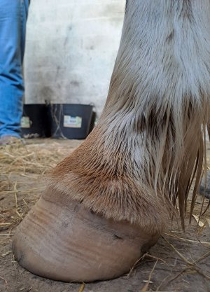 20241005_114724 HHO2.jpg