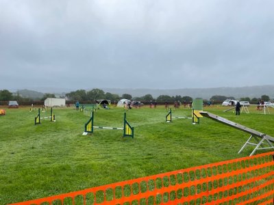 IMG_1724.jpeg IMG_1724.jpeg