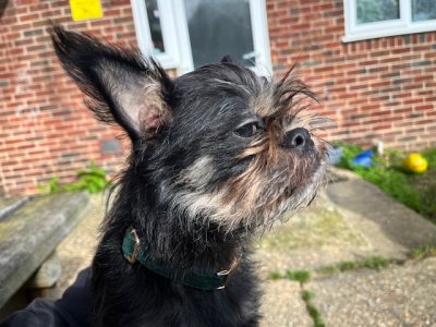 IMG_4212.jpeg IMG_4212.jpeg