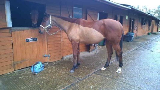 1000015512.jpg 1000015512.jpg