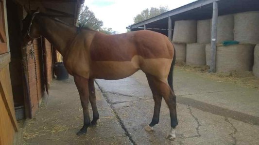 1000015511.jpg 1000015511.jpg