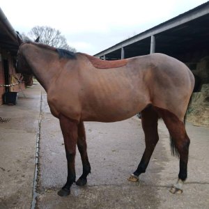 1000015513.jpg 1000015513.jpg