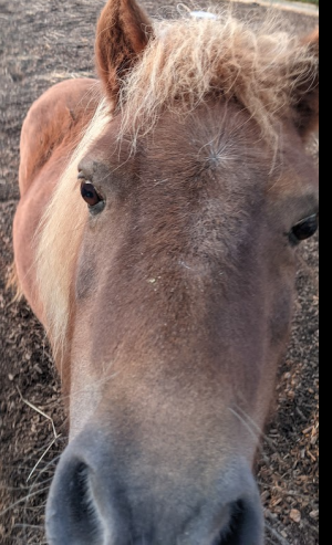 Screenshot 2024-10-13 6.40.40 AM.png