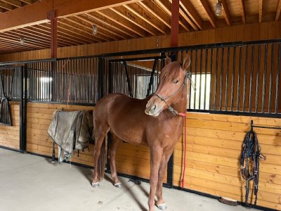 IMG_3308.jpeg IMG_3308.jpeg