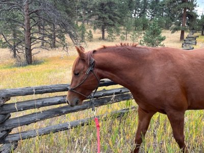 IMG_3330.jpeg IMG_3330.jpeg