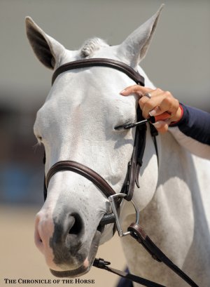 WEB_mascaraDSC_6502.jpg WEB_mascaraDSC_6502.jpg