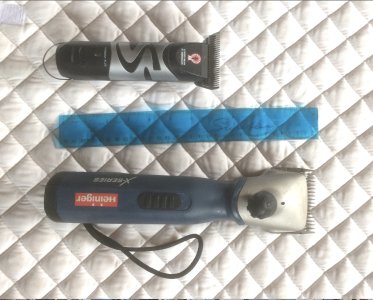 IMG_1553.jpeg IMG_1553.jpeg